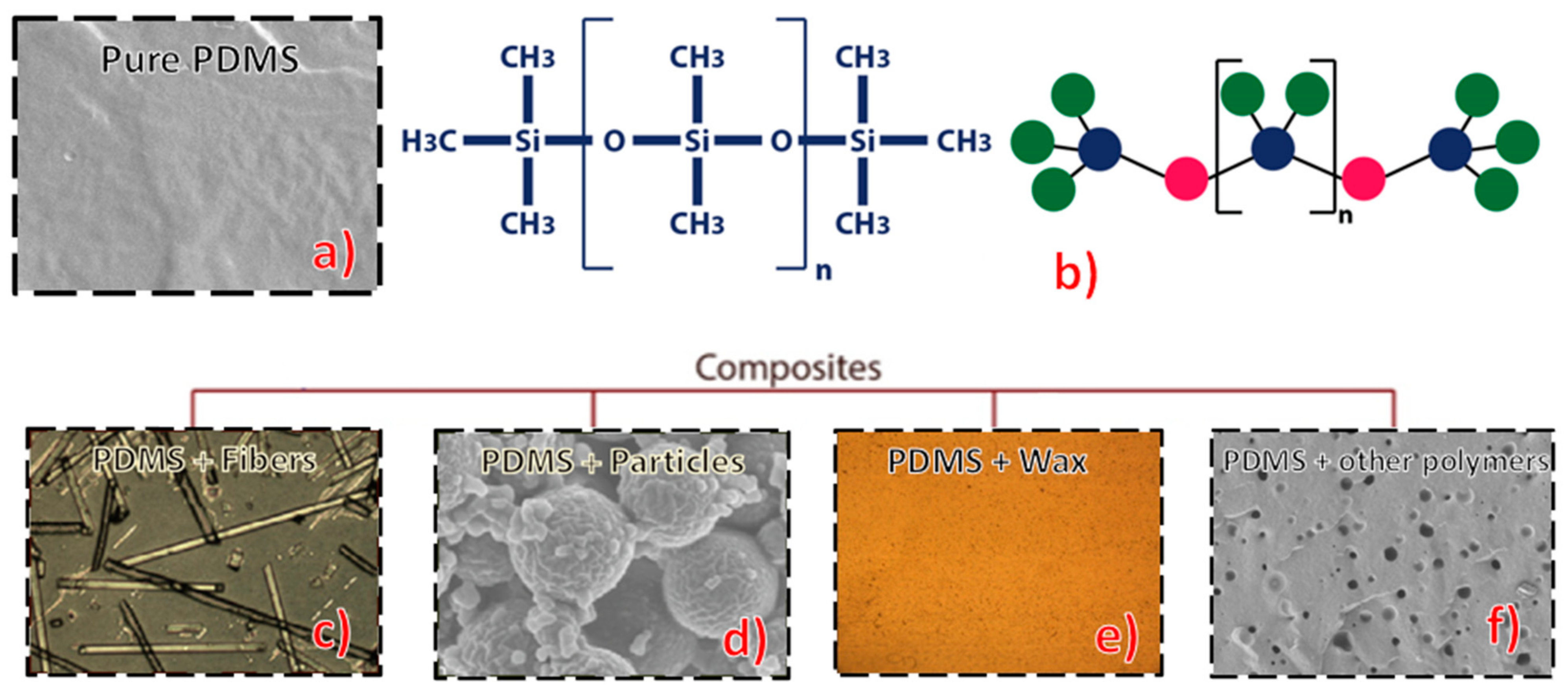 Polymers 13 04258 g002