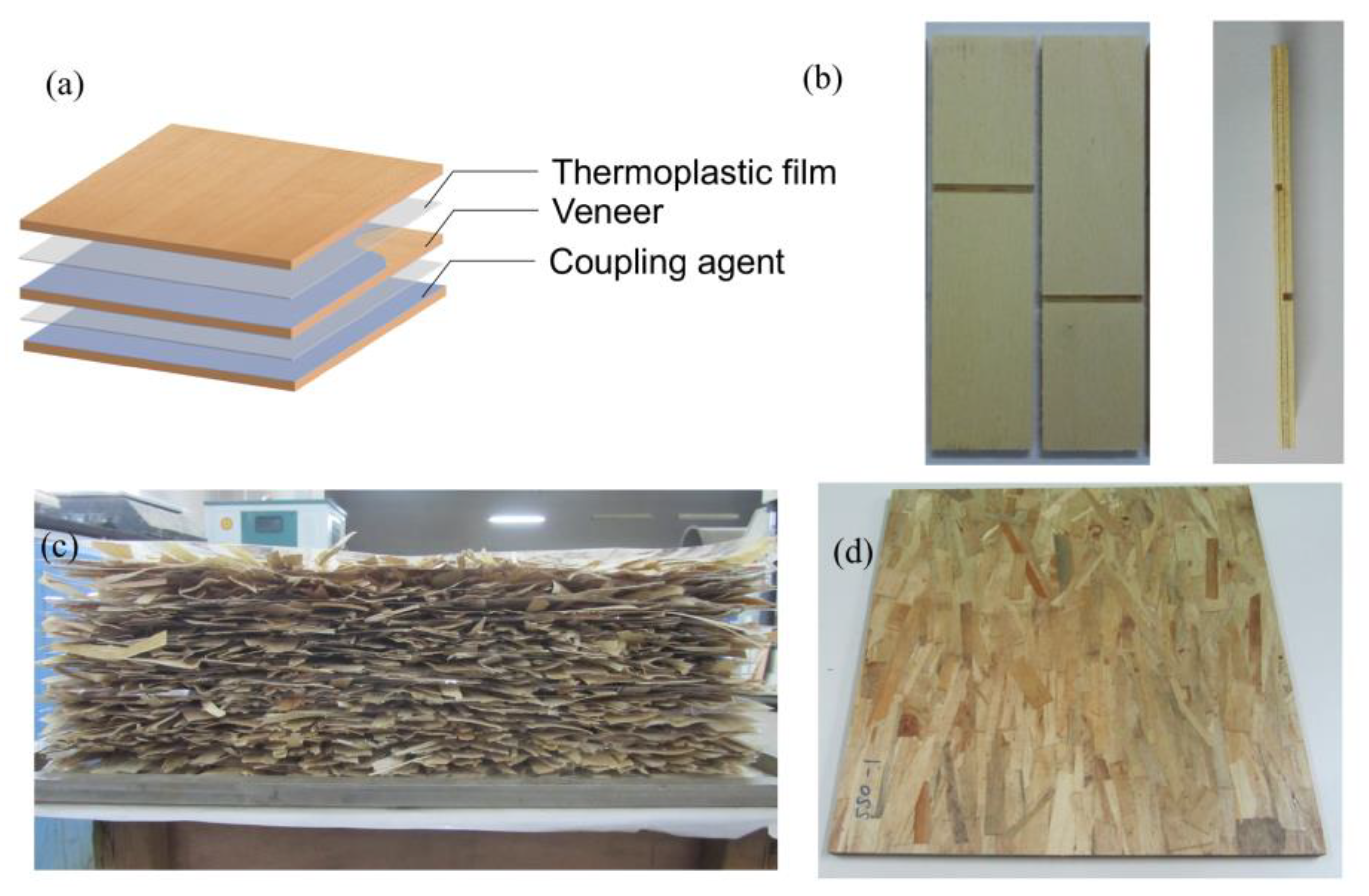 Polymers 13 04260 g001