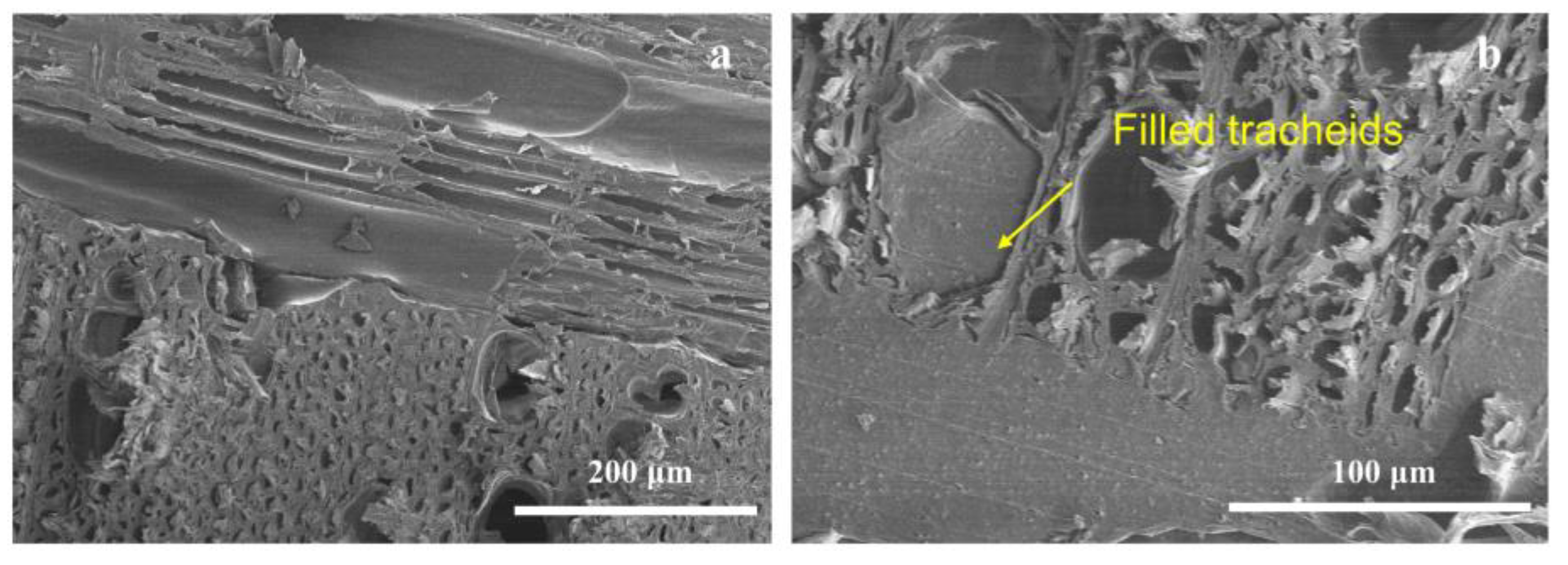 Polymers 13 04260 g004