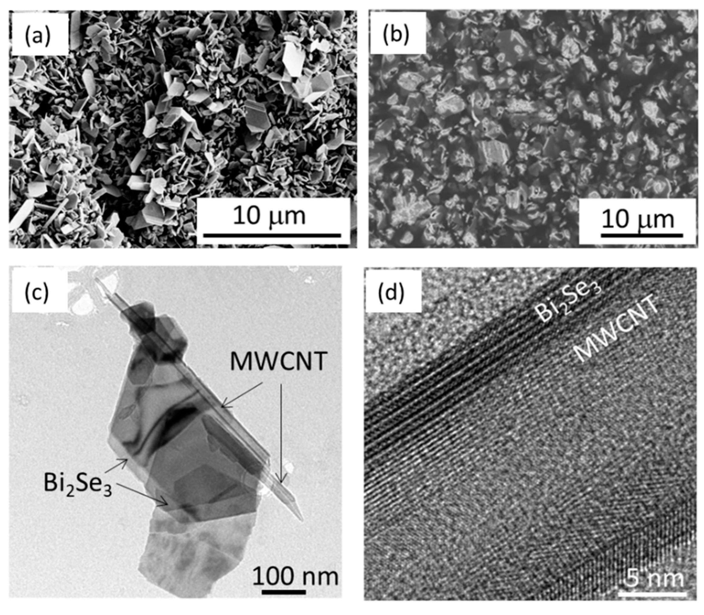 Polymers 13 04264 g001