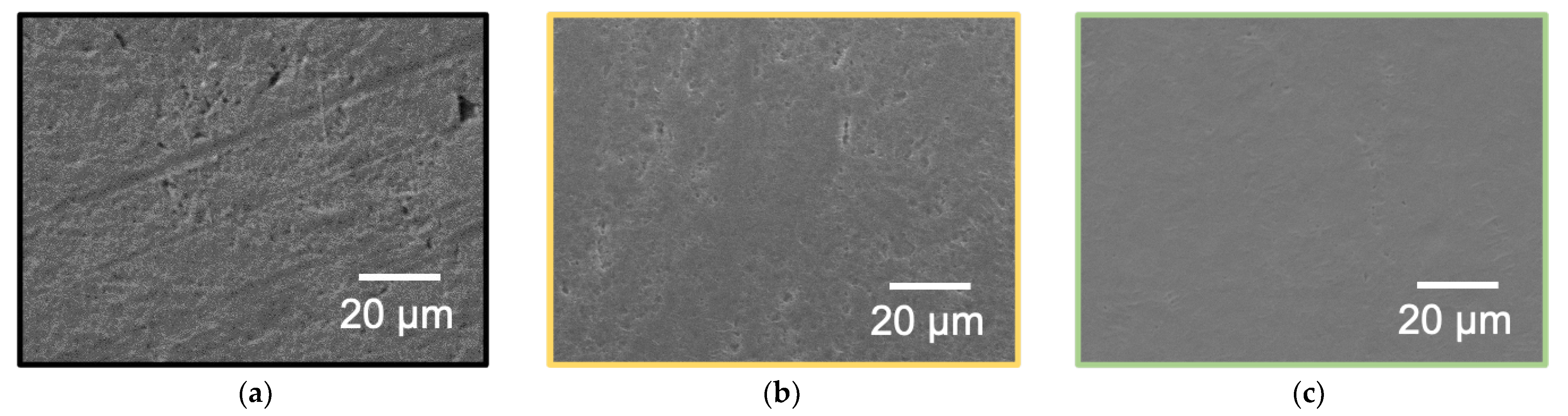 Polymers 13 04266 g006