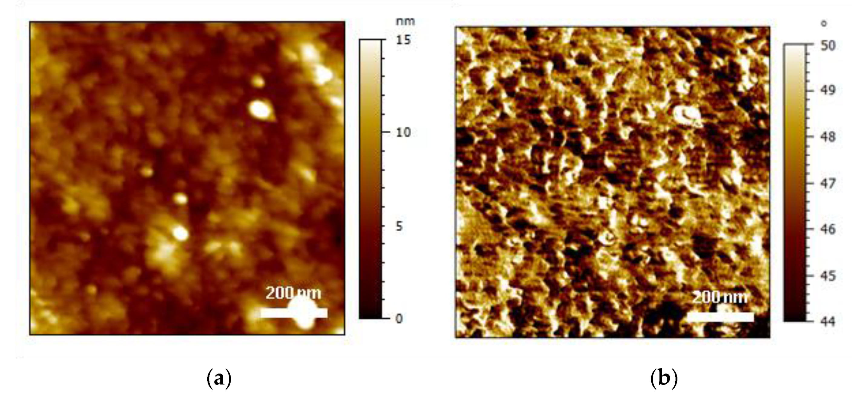 Polymers 13 04273 g005a