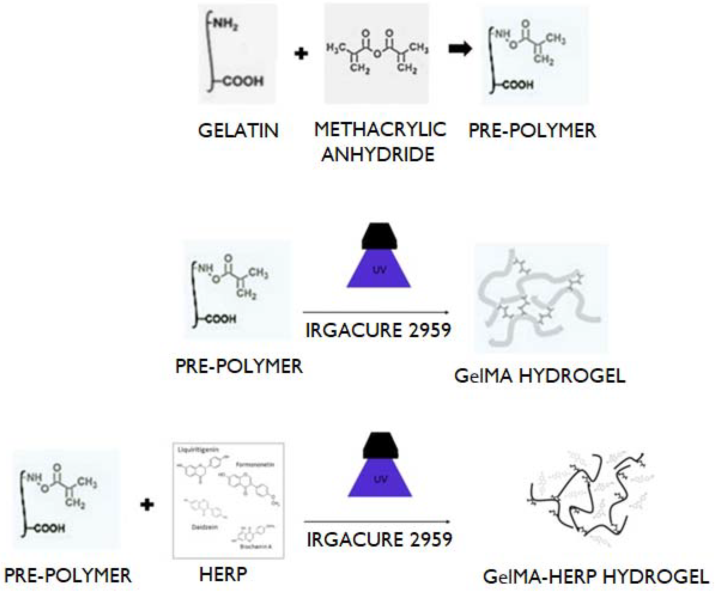 Polymers 13 04274 g001 Polymers 13 04274 g001