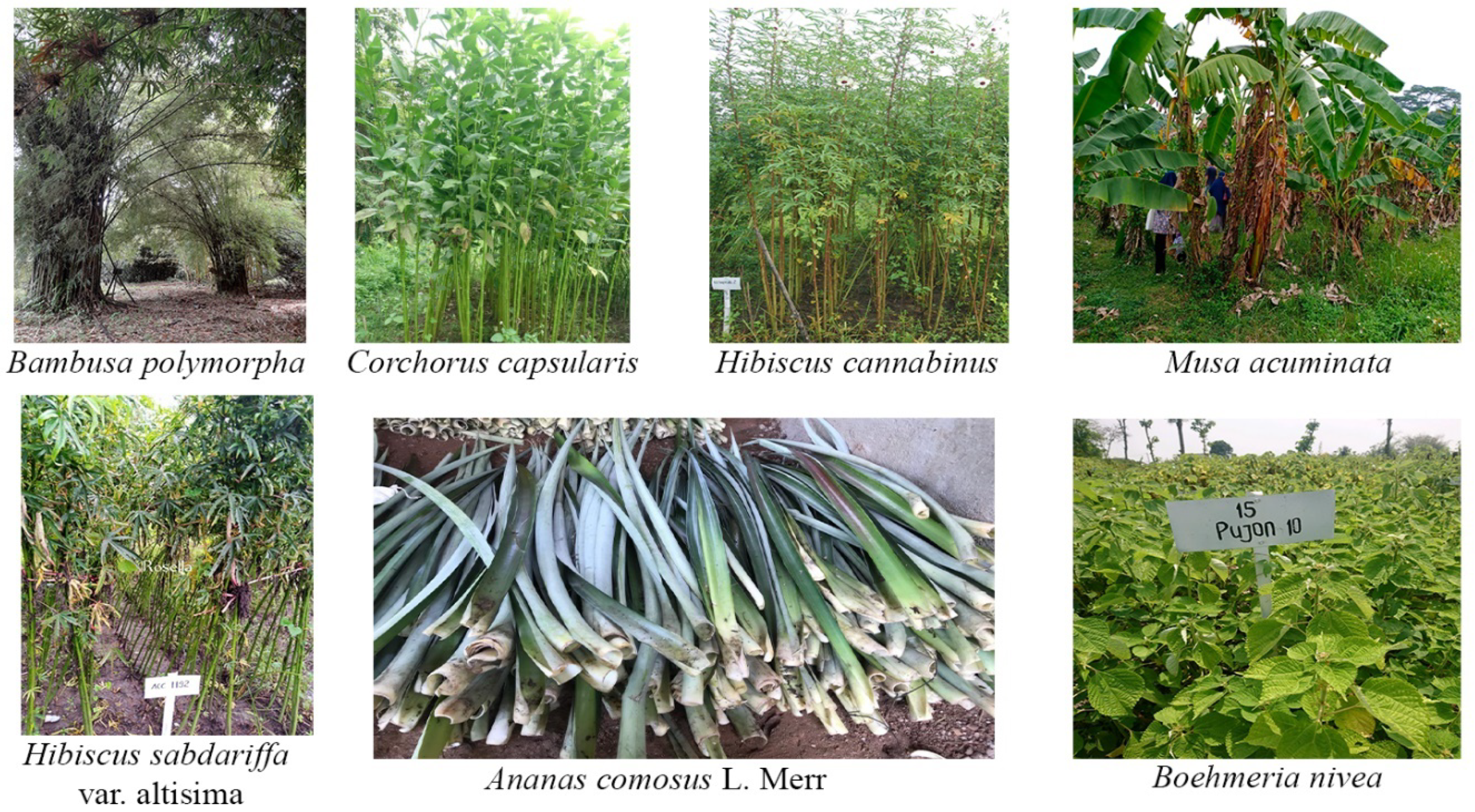 Polymers 13 04280 g002