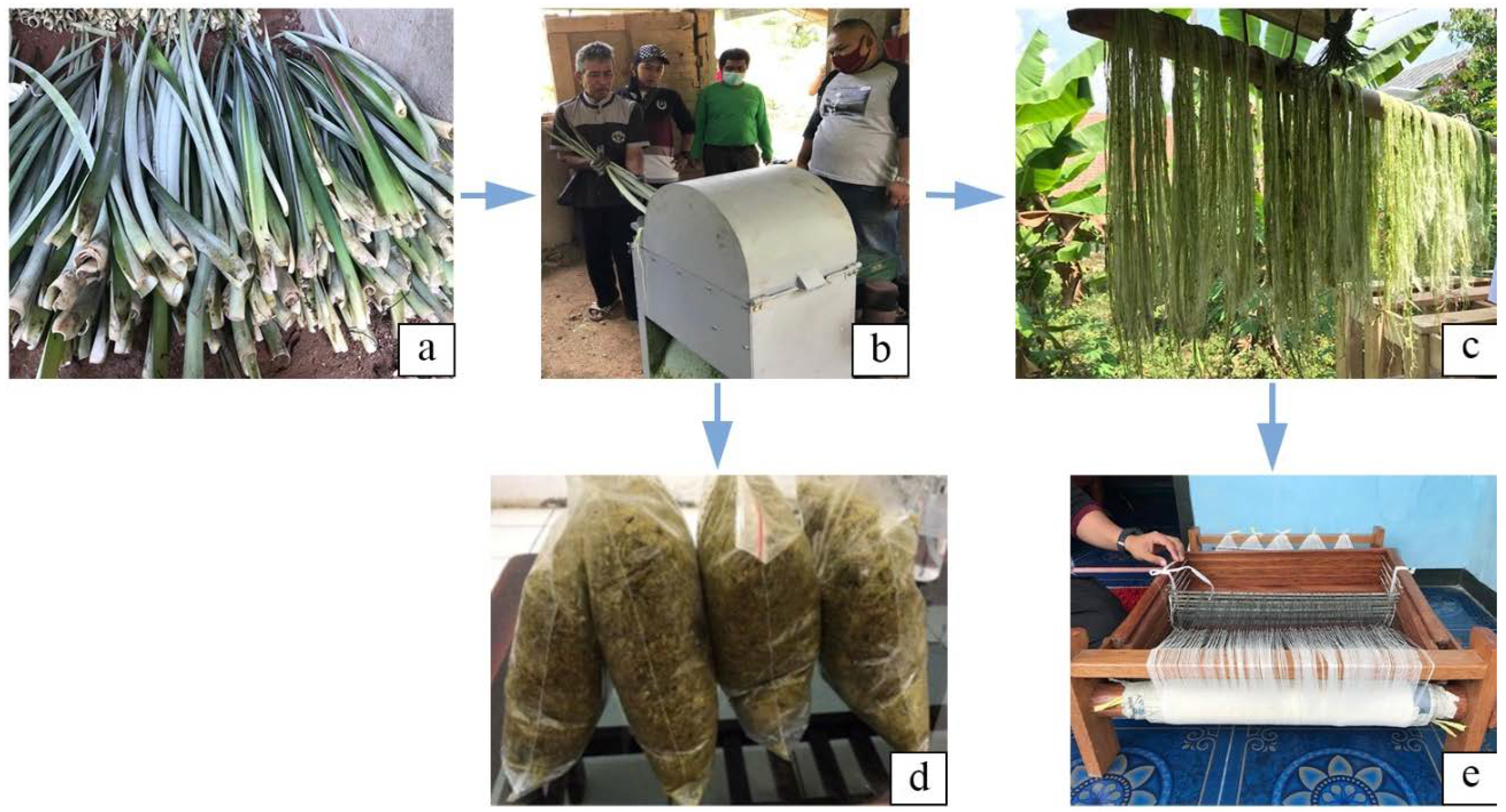 Polymers 13 04280 g006