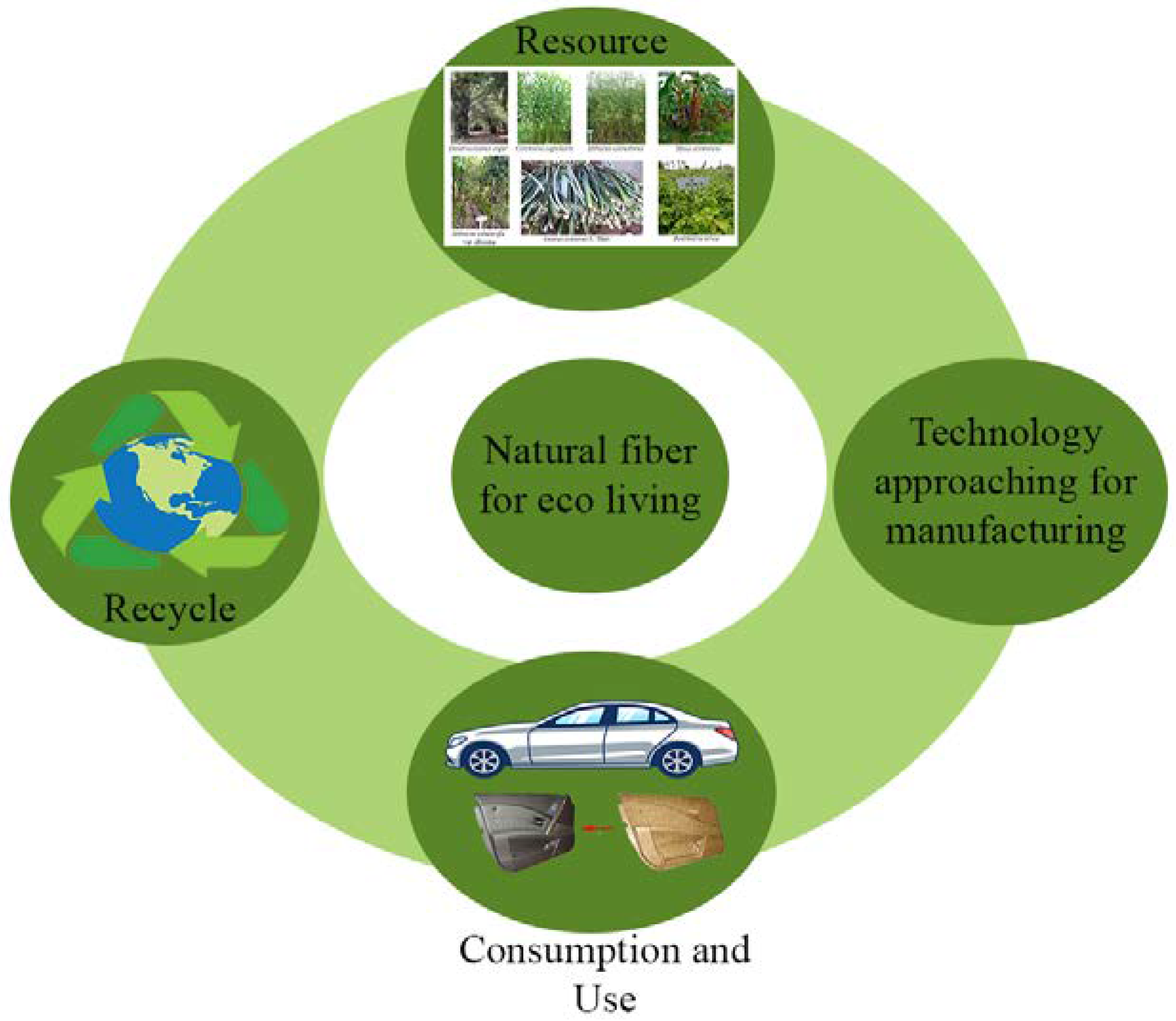 Polymers 13 04280 g007