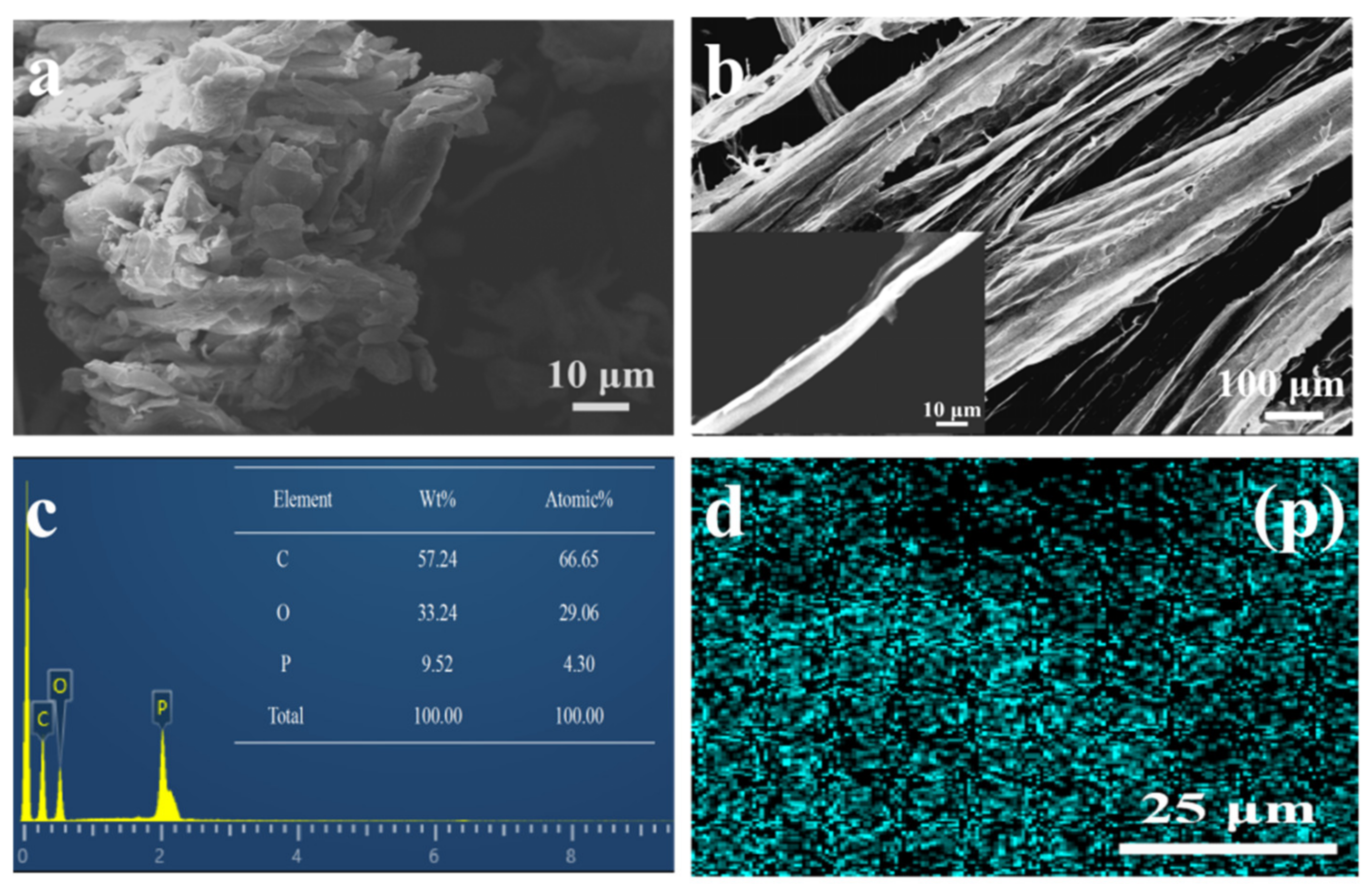 Polymers 13 04288 g004