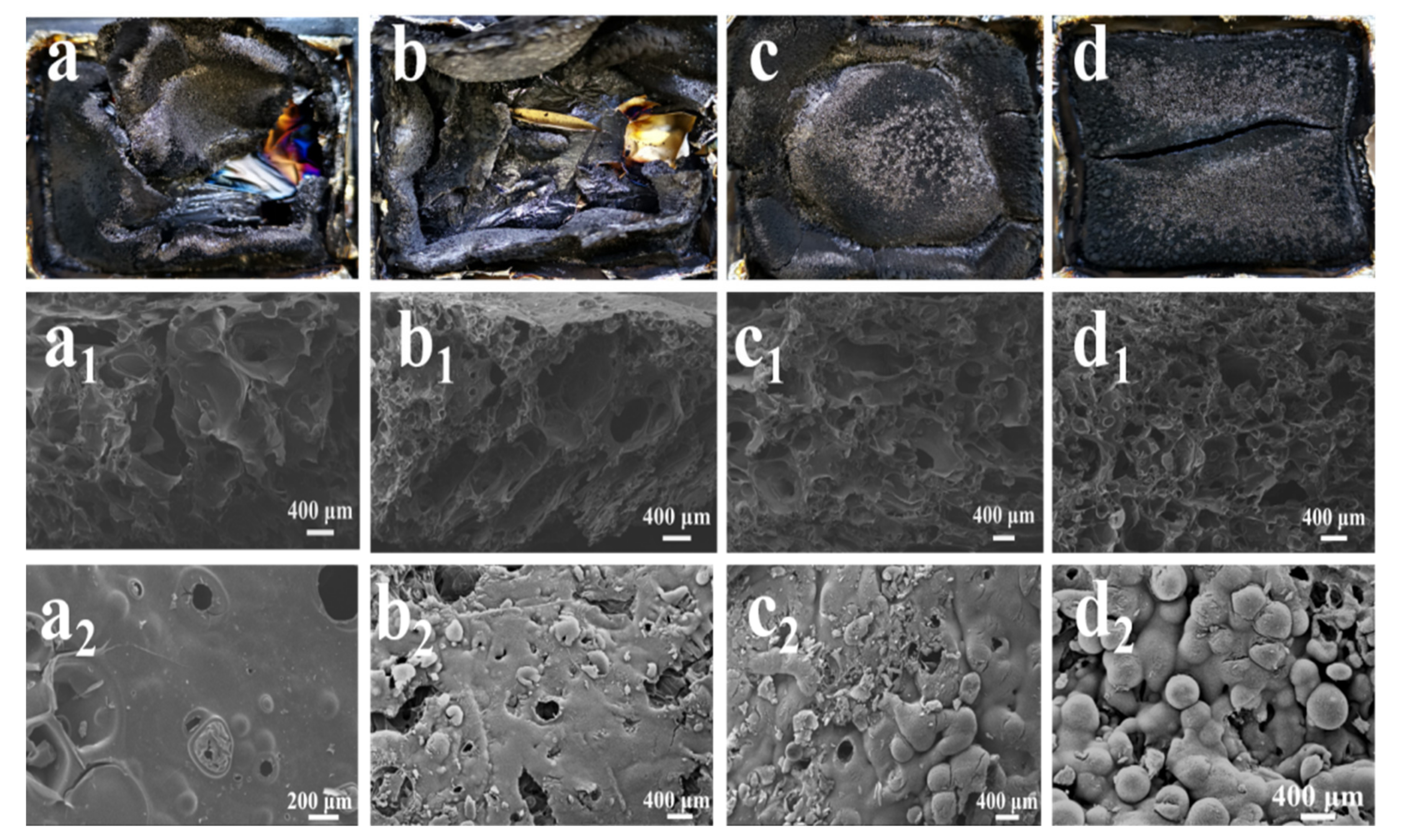 Polymers 13 04288 g008