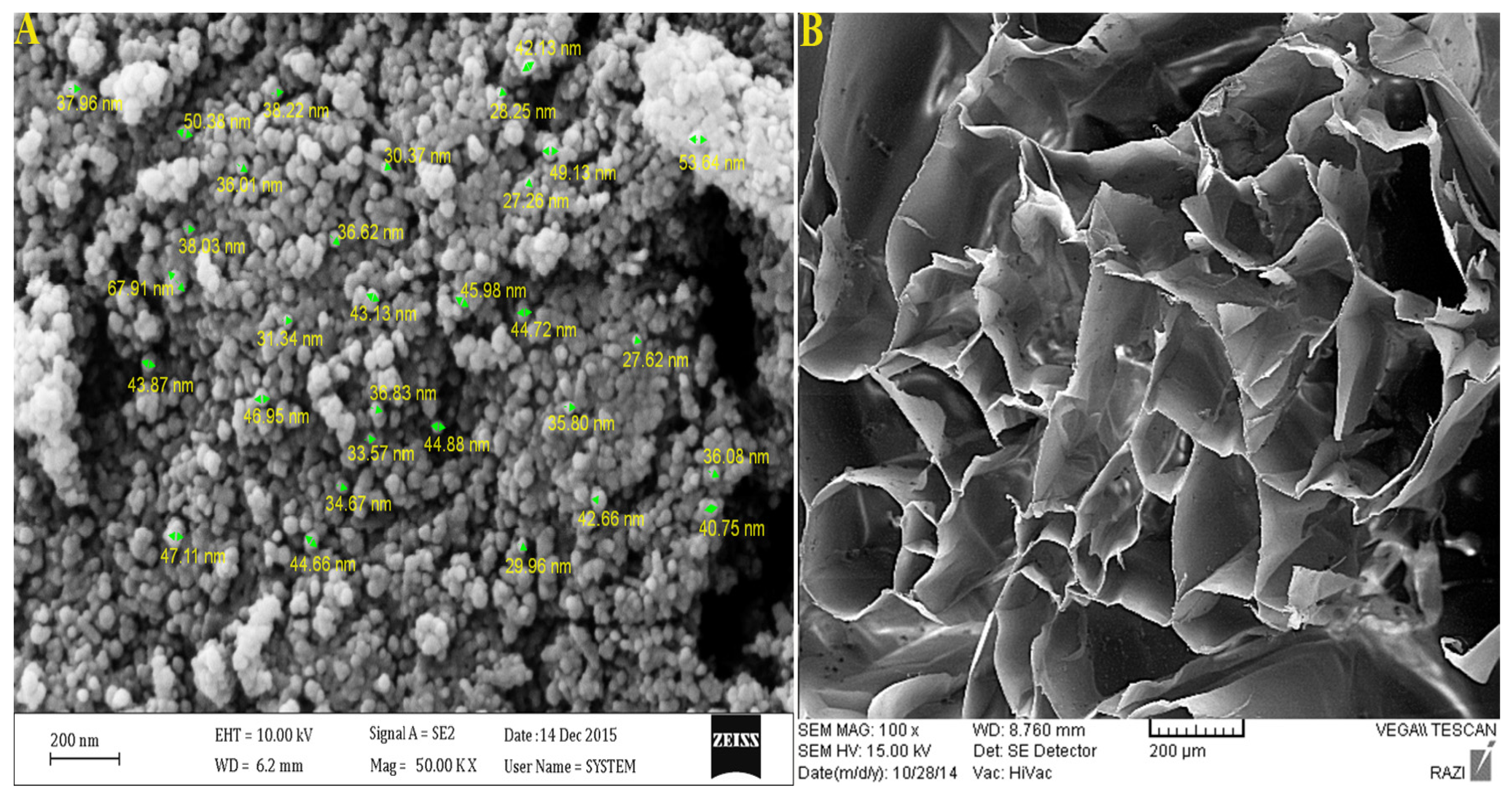 Polymers 13 04291 g002 Polymers 13 04291 g002