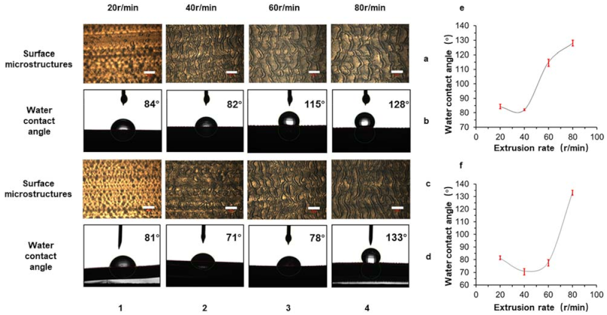 Polymers 13 04299 g006