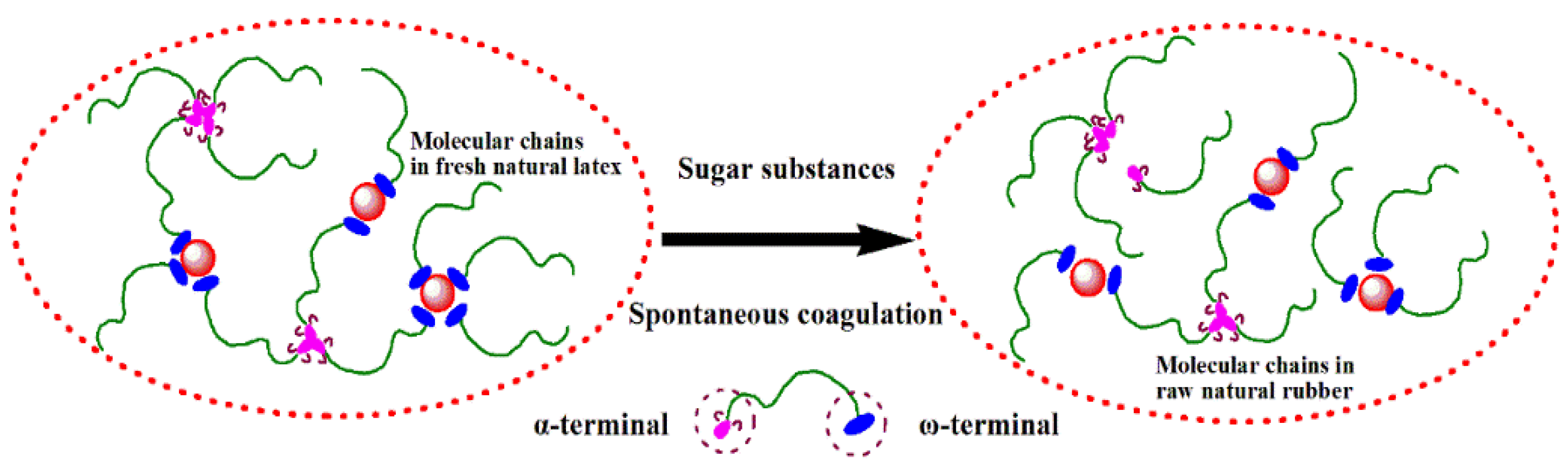Polymers 13 04306 g003
