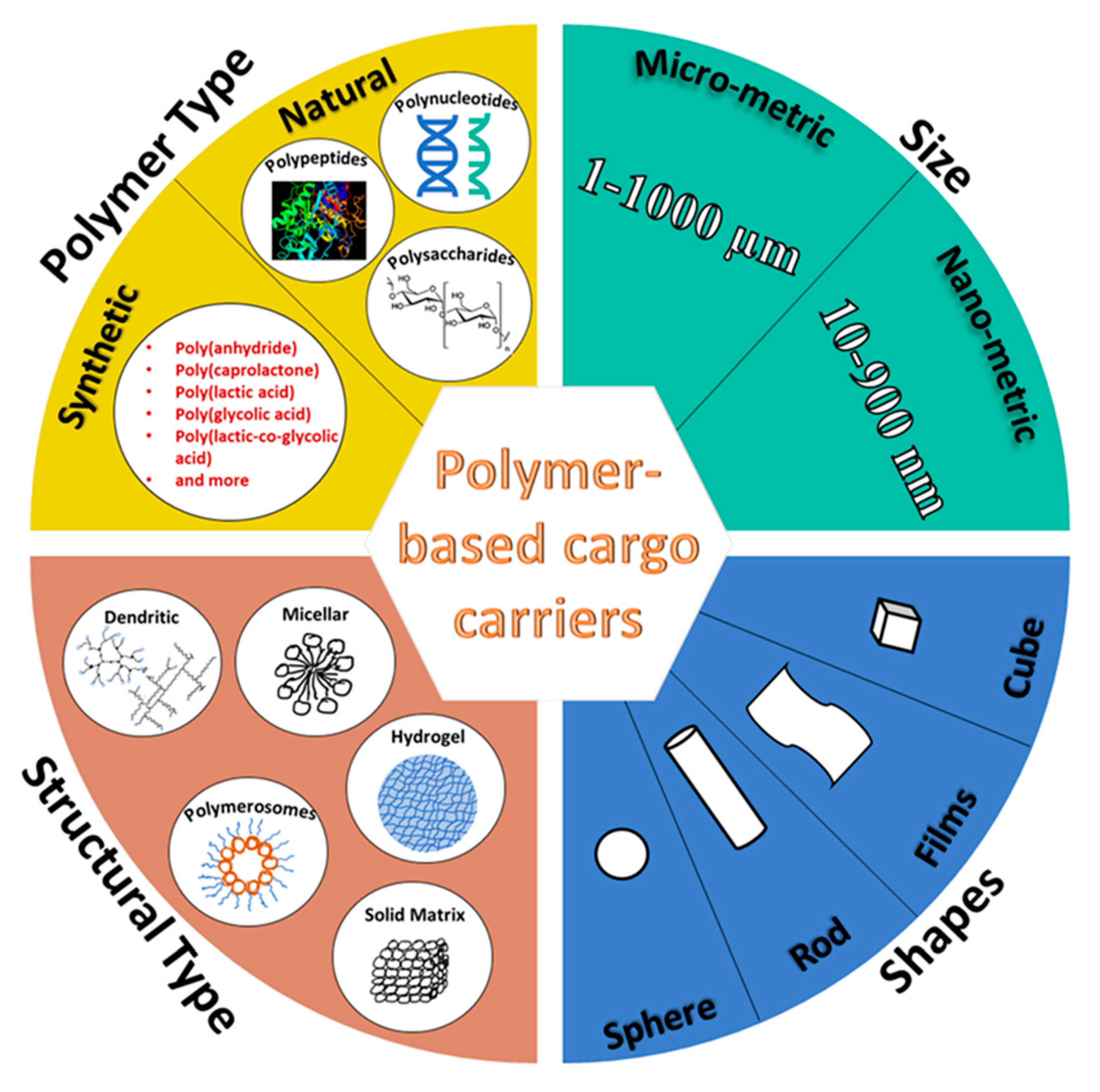 Polymers 13 04307 g001