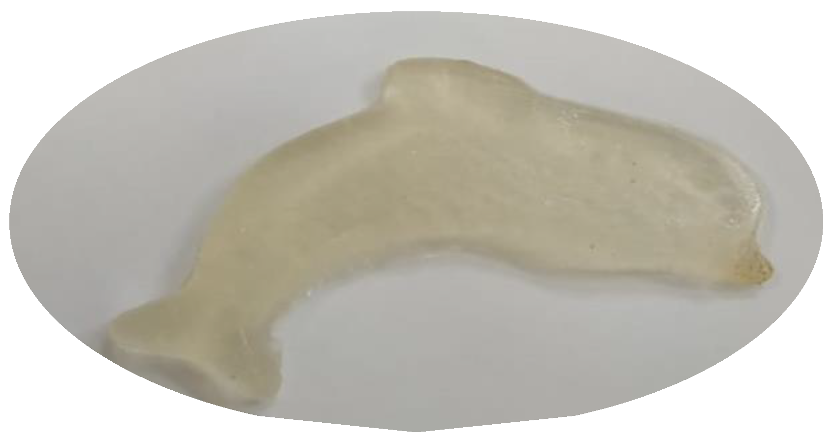 Polymers 13 04308 g001 Polymers 13 04308 g001