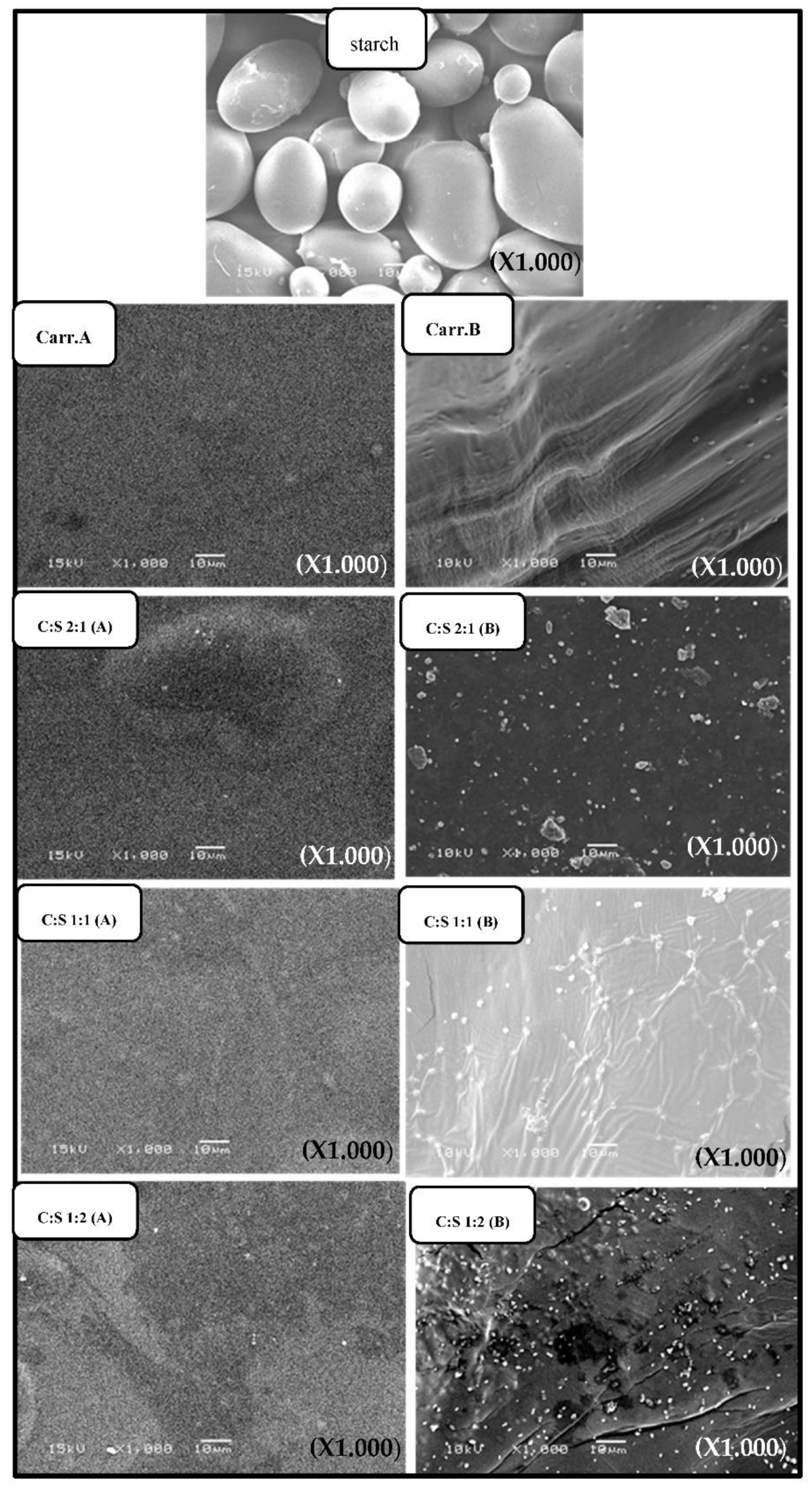 Polymers 13 04308 g005 Polymers 13 04308 g005