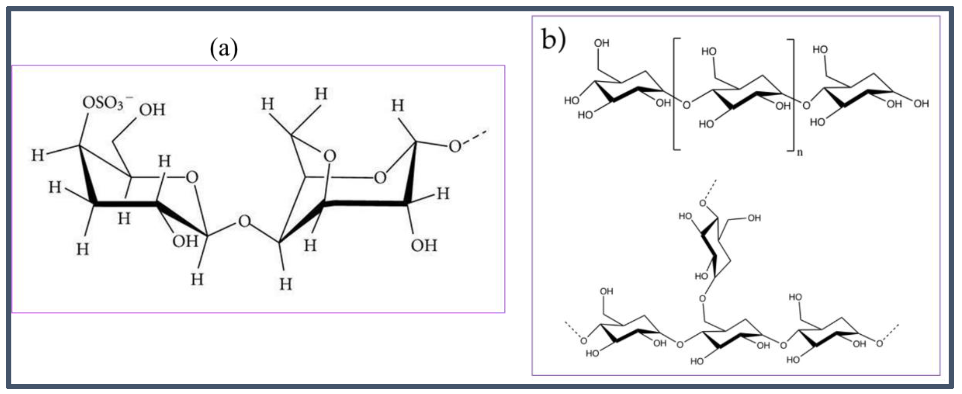 Polymers 13 04308 sch001 Polymers 13 04308 sch001