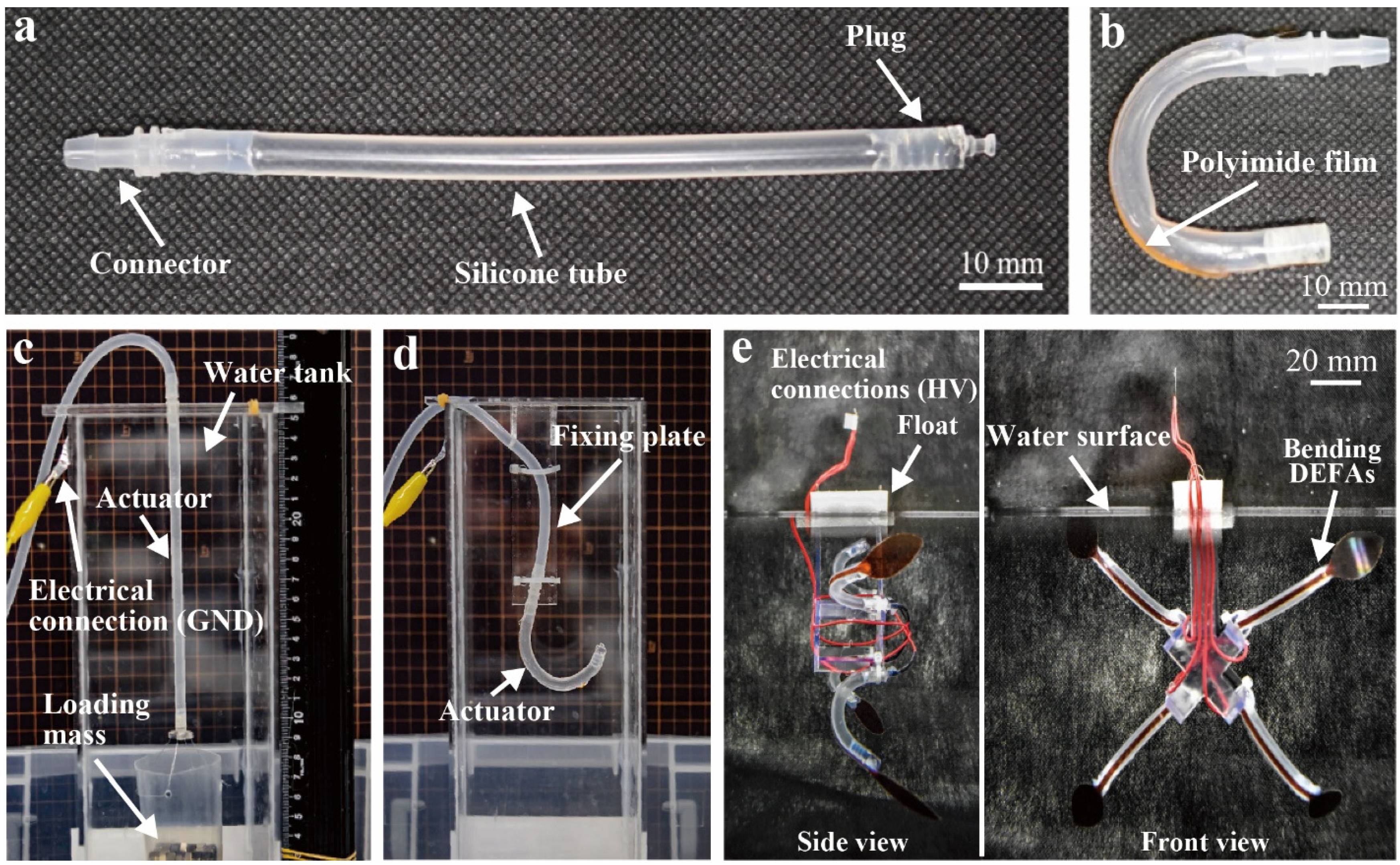 Polymers 13 04310 g003