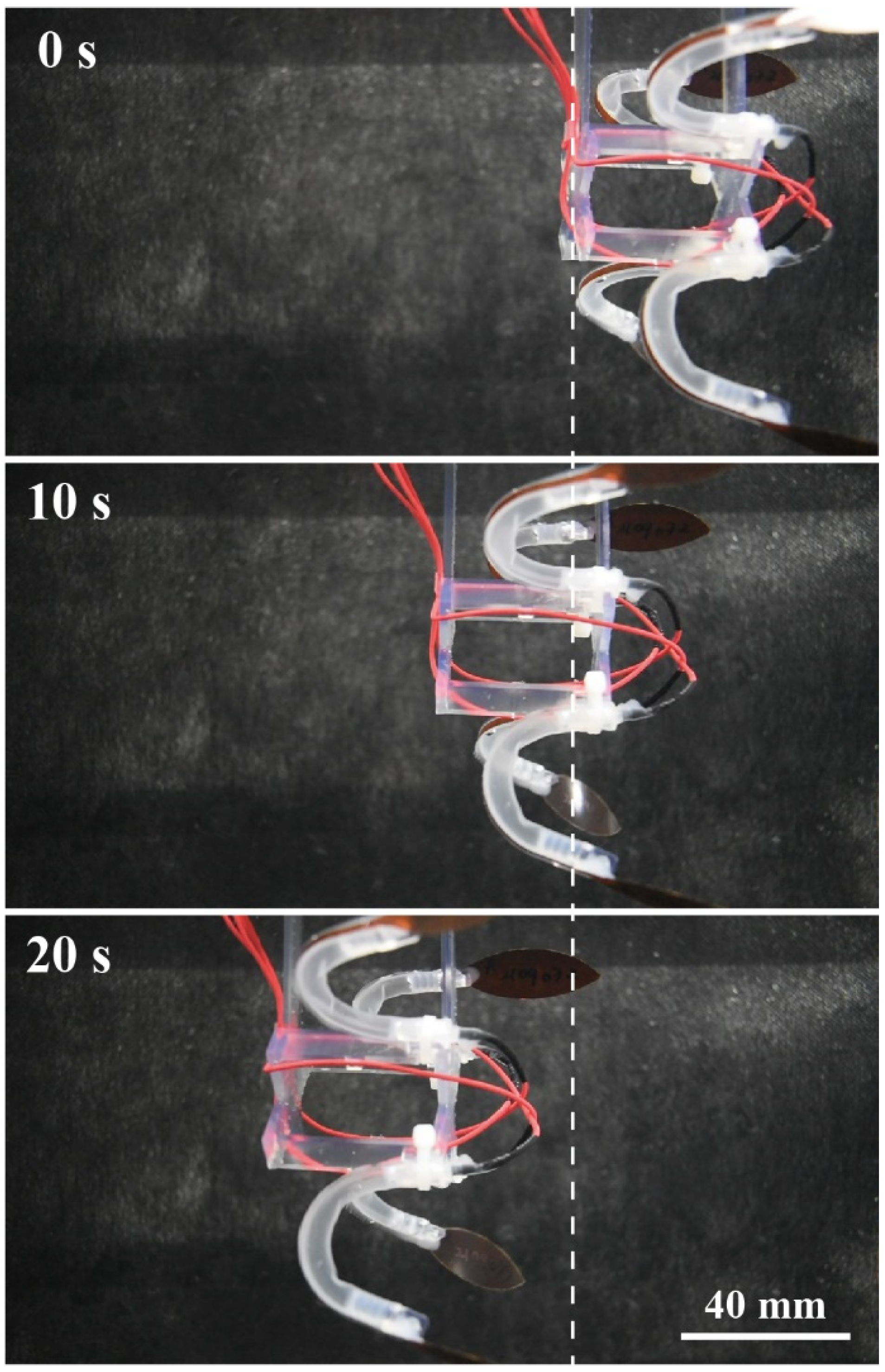 Polymers 13 04310 g005