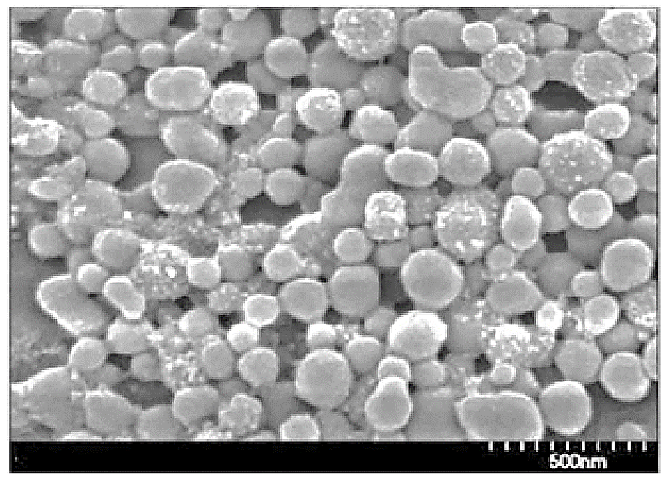 Polymers 13 04313 g003