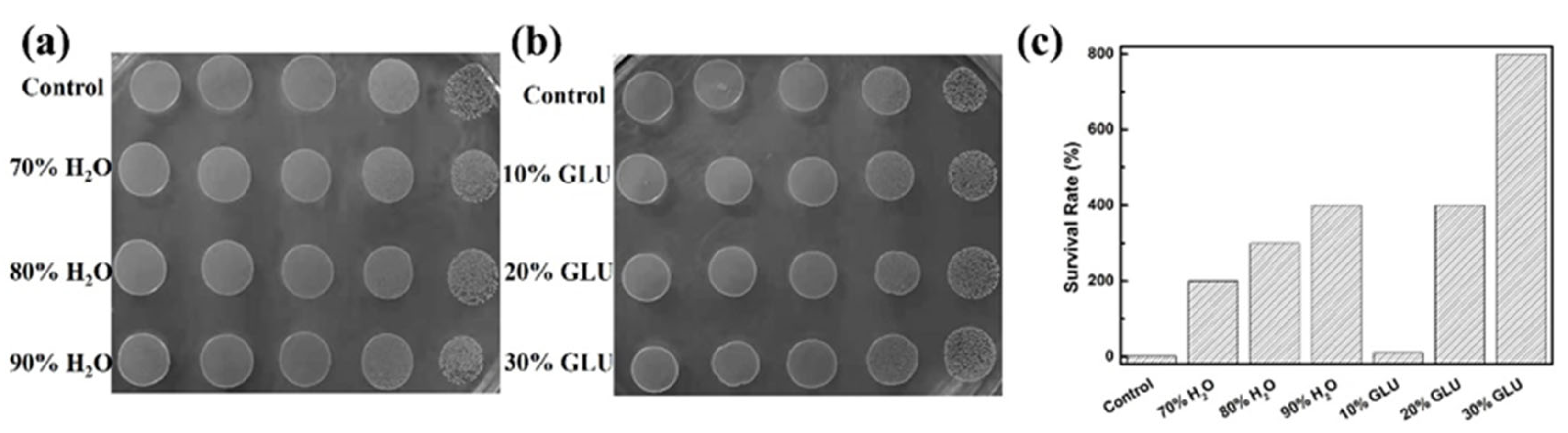 Polymers 13 04317 g004