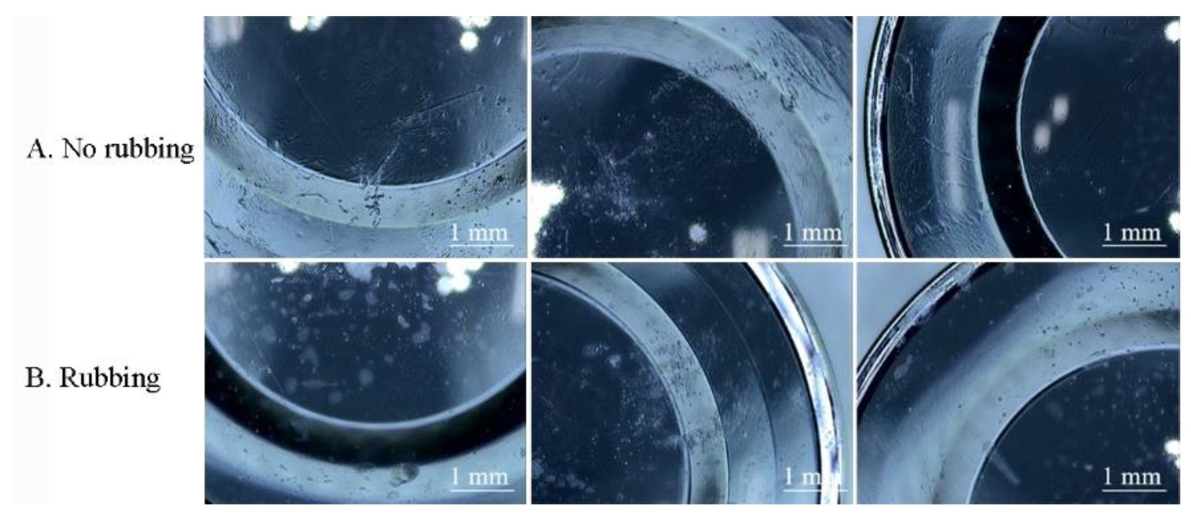 Polymers 13 04318 g005