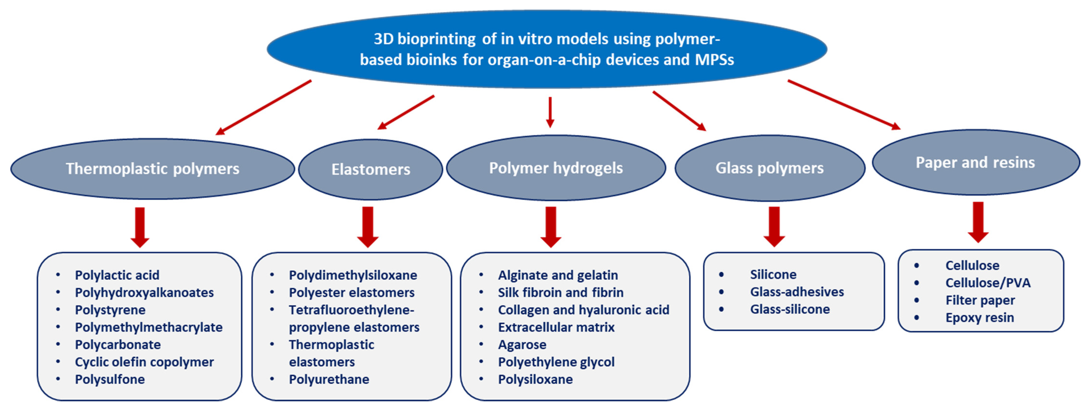 Polymers 13 04327 g003 Polymers 13 04327 g003