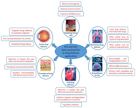 Polymers 13 04327 g005