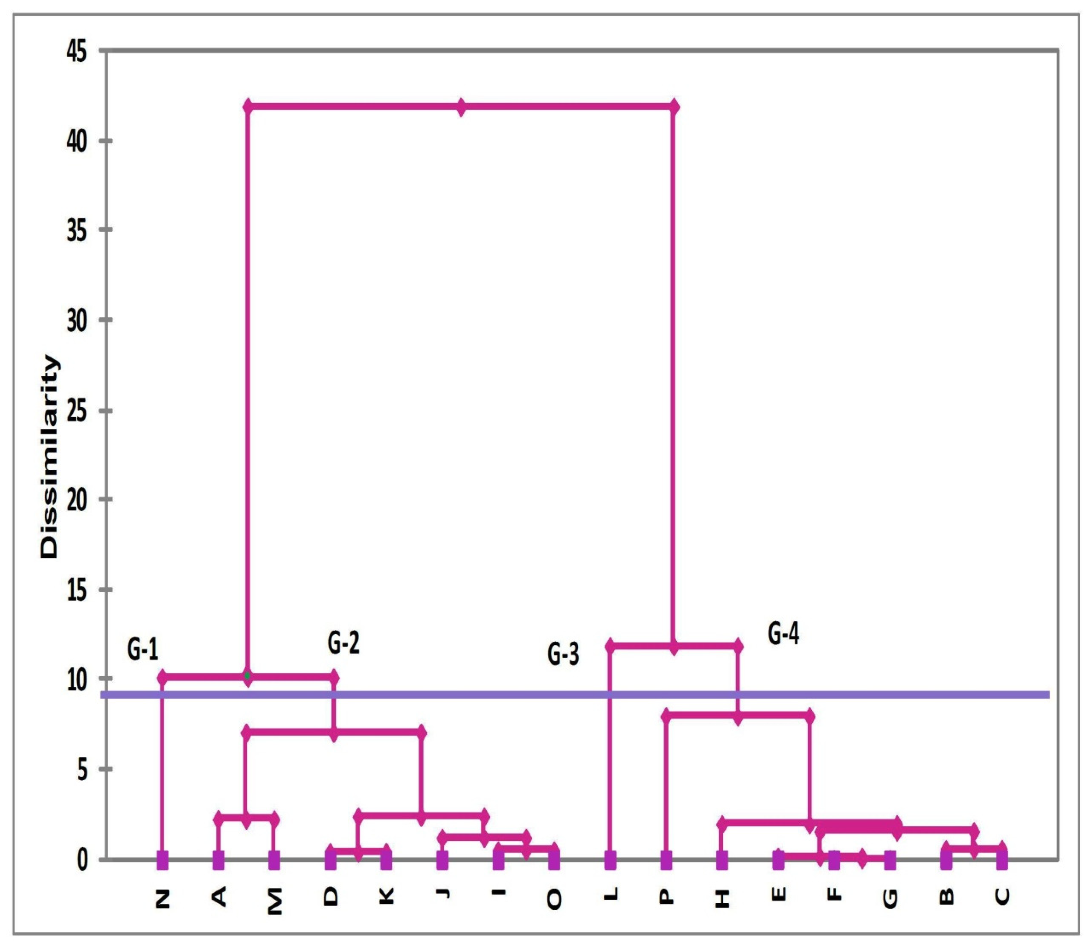 Polymers 13 04328 g002