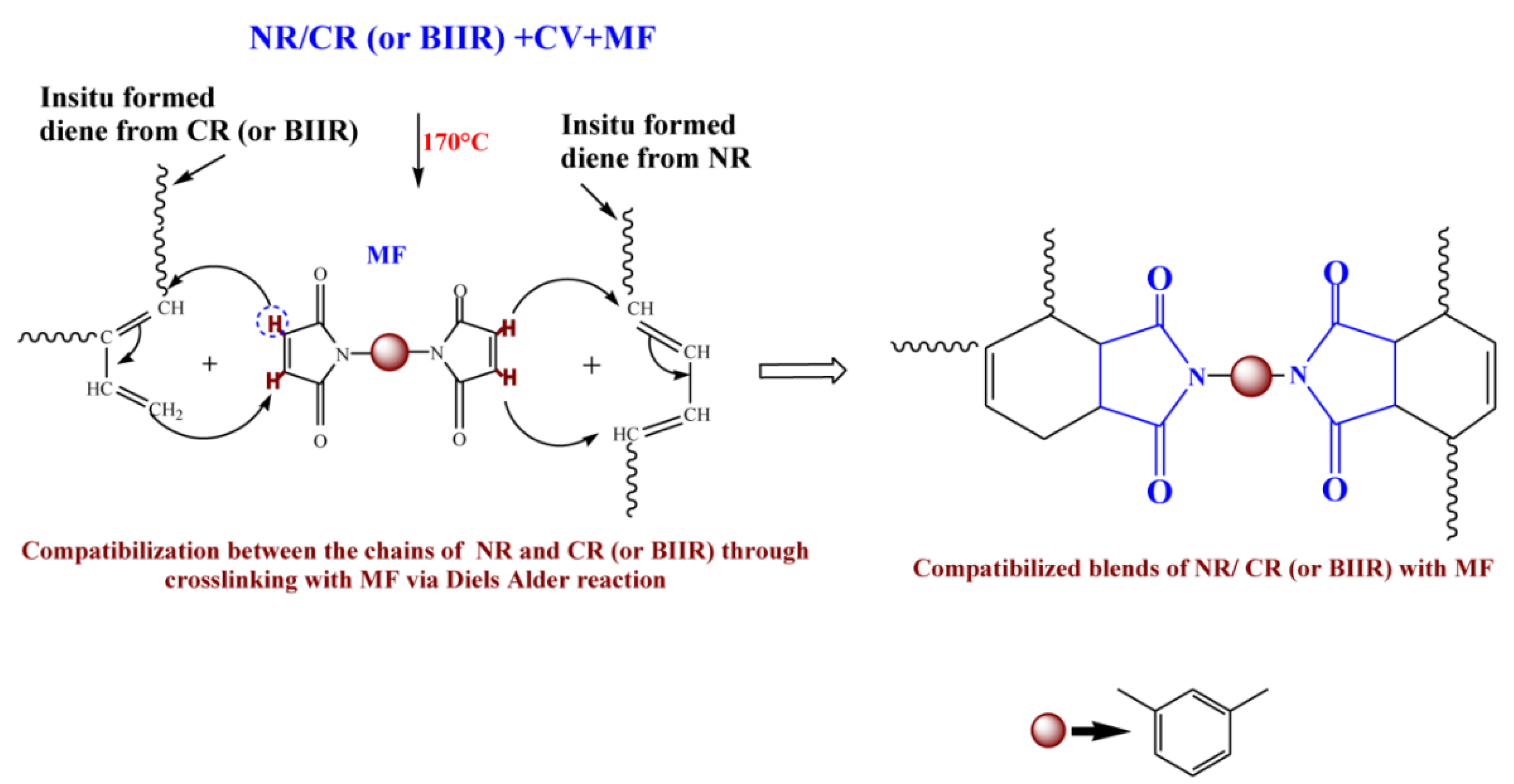 Polymers 13 04329 g005