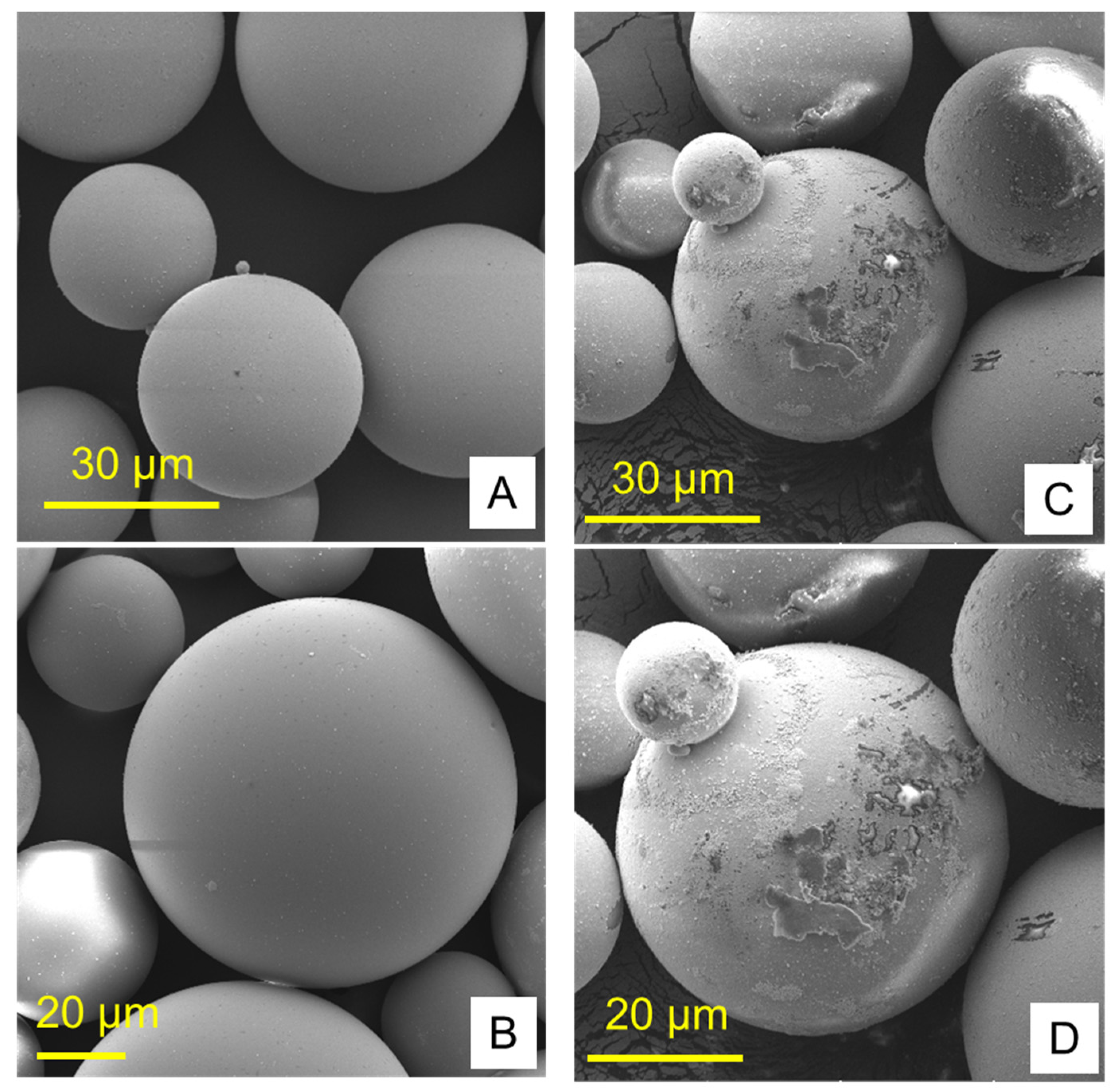 Polymers 13 04331 g002
