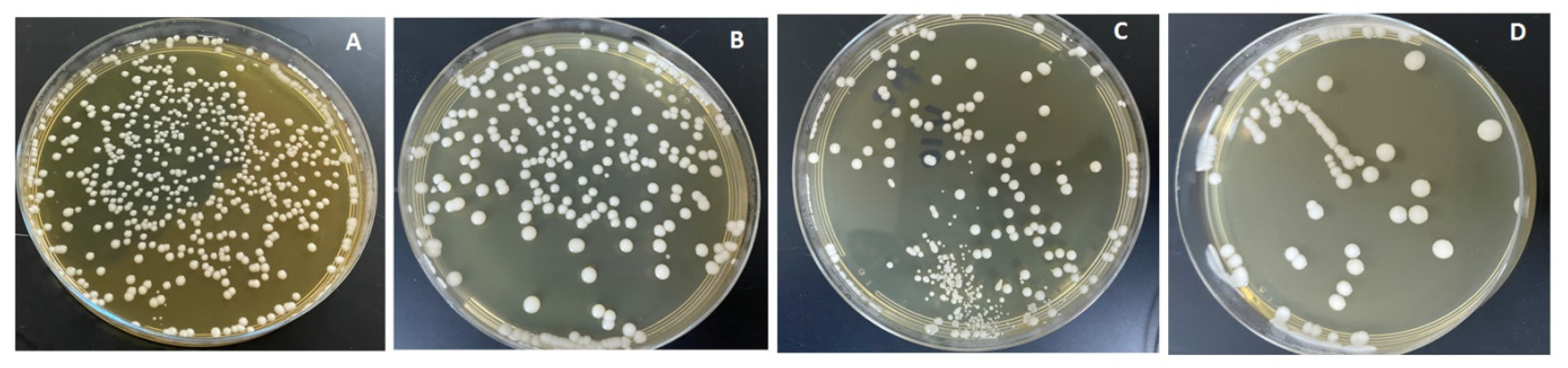 Polymers 13 04331 g007