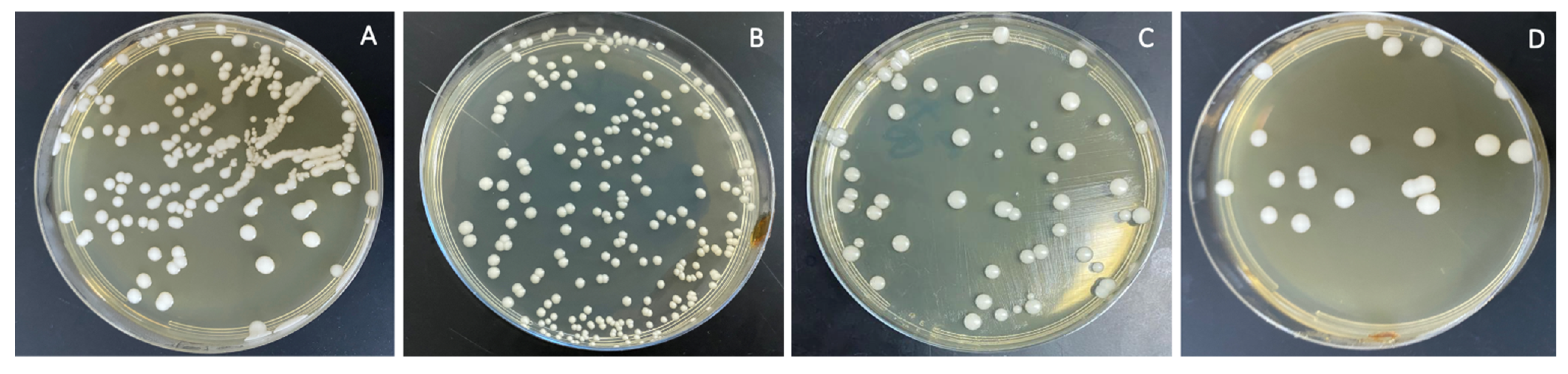 Polymers 13 04331 g008