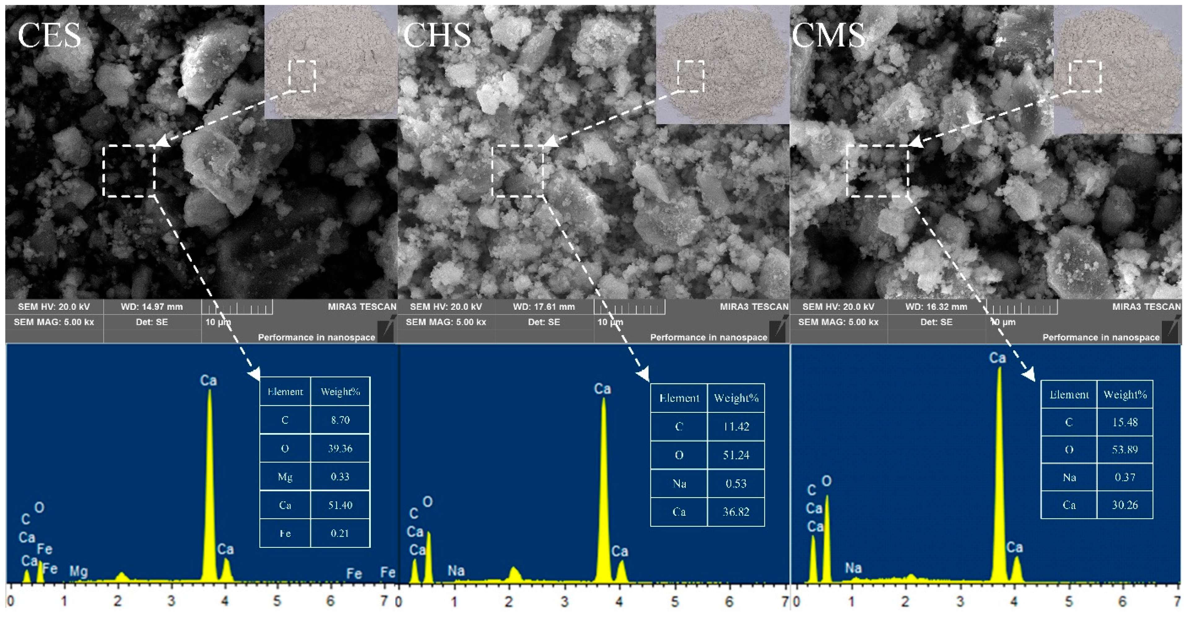 Polymers 13 04333 g003
