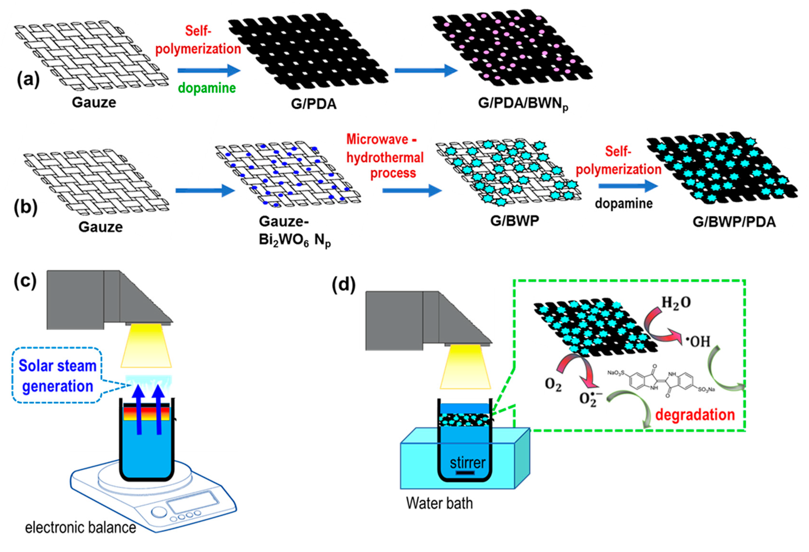 Polymers 13 04335 g001