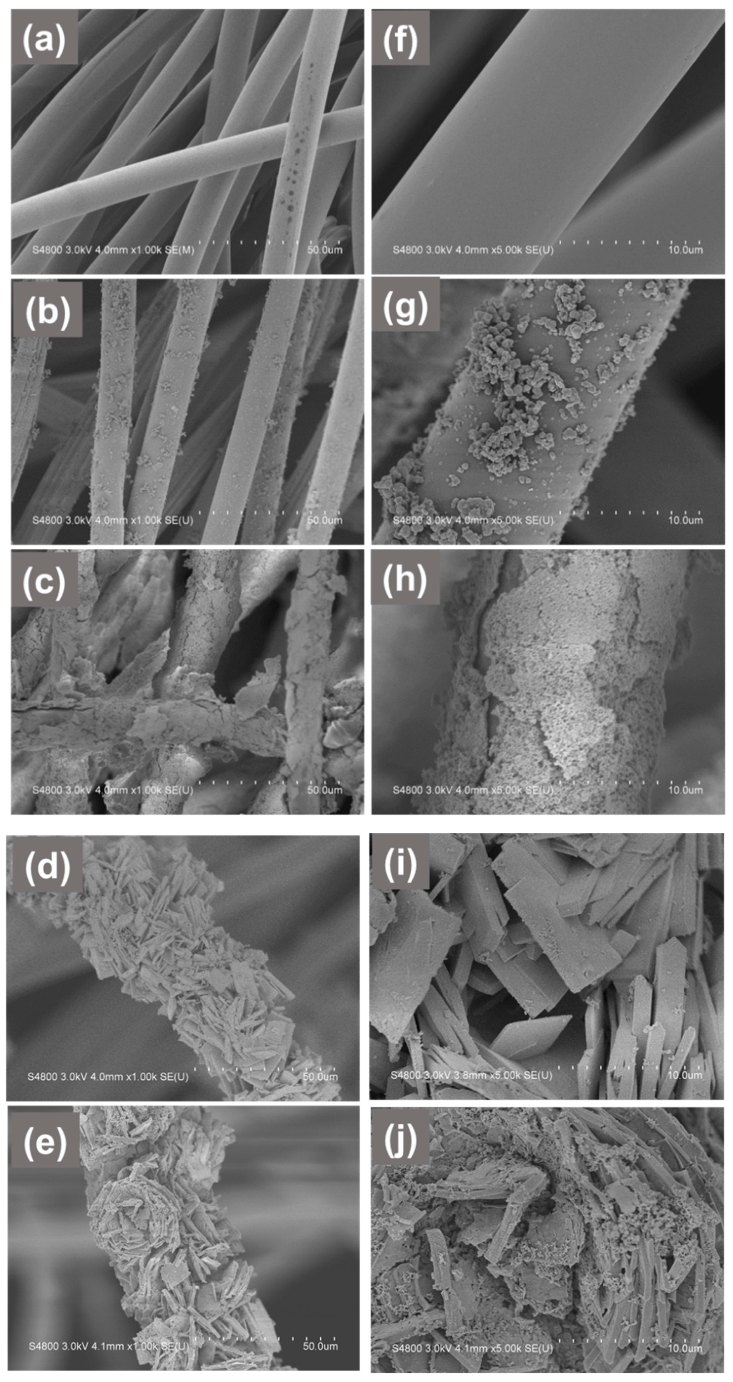 Polymers 13 04335 g002