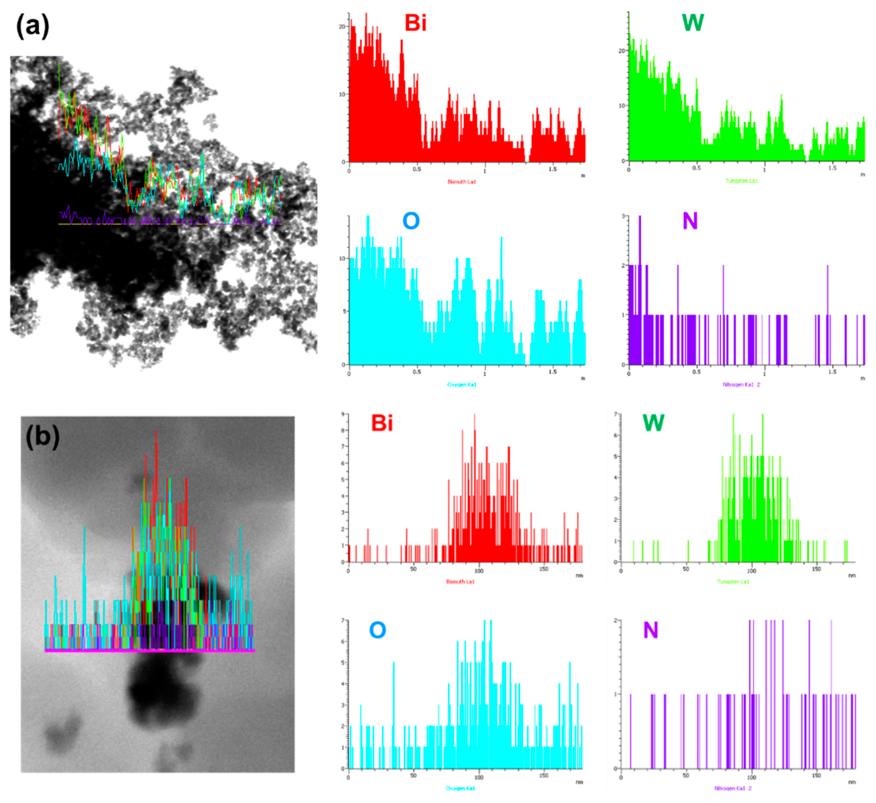 Polymers 13 04335 g003