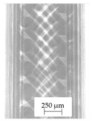 Polymers 13 04337 i002