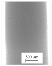 Polymers 13 04337 i003