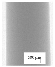 Polymers 13 04337 i005