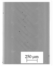 Polymers 13 04337 i006