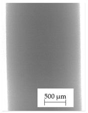 Polymers 13 04337 i007