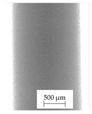 Polymers 13 04337 i009
