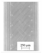 Polymers 13 04337 i014