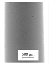 Polymers 13 04337 i015