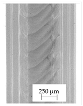 Polymers 13 04337 i016