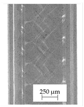 Polymers 13 04337 i018
