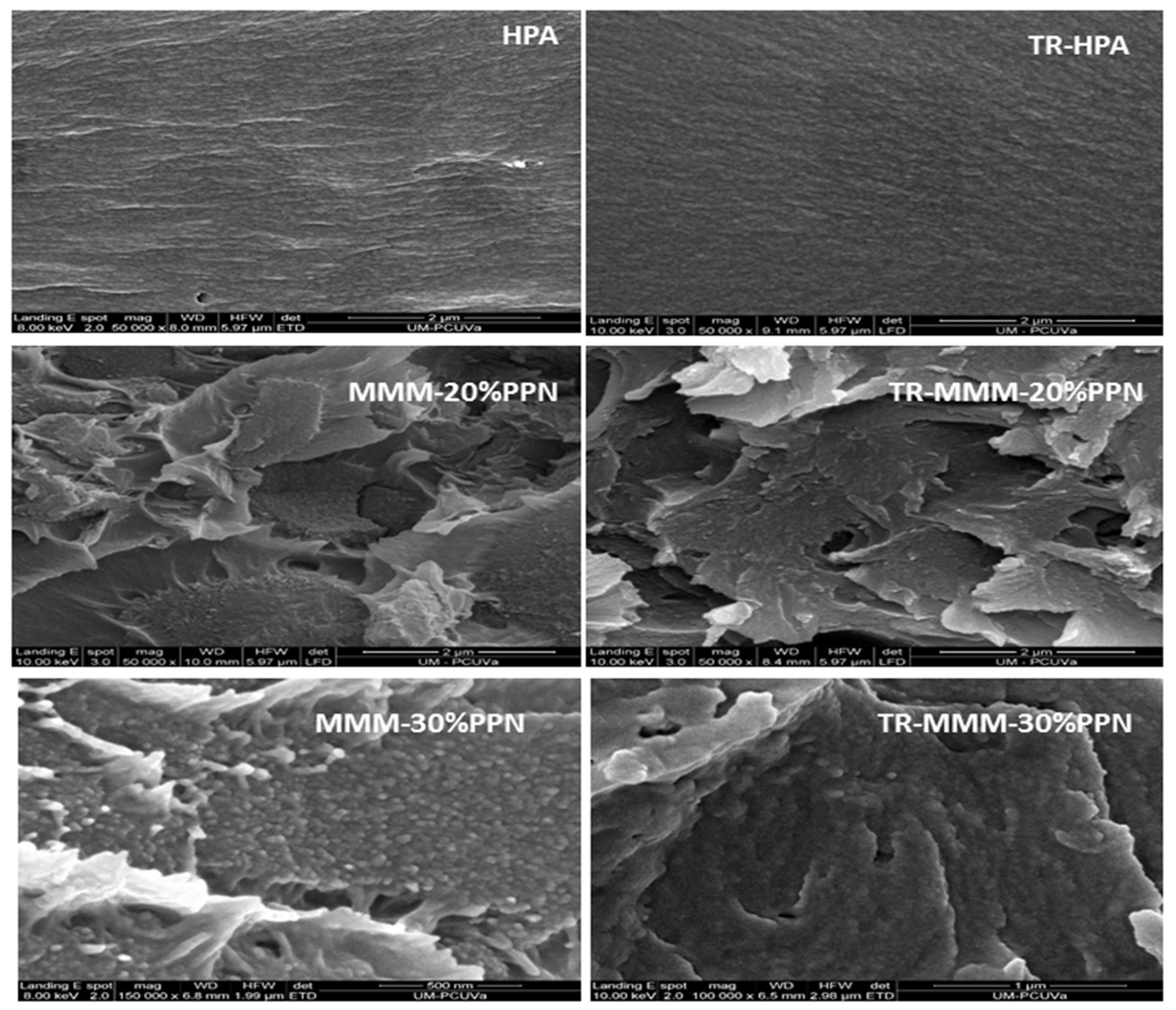Polymers 13 04343 g002