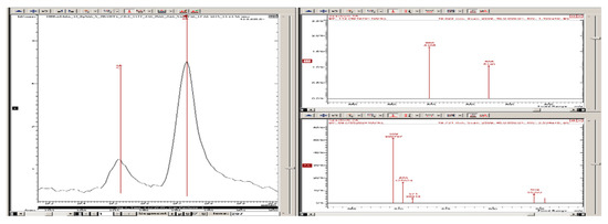 Polymers 13 04349 g0a9 Polymers 13 04349 g0a9