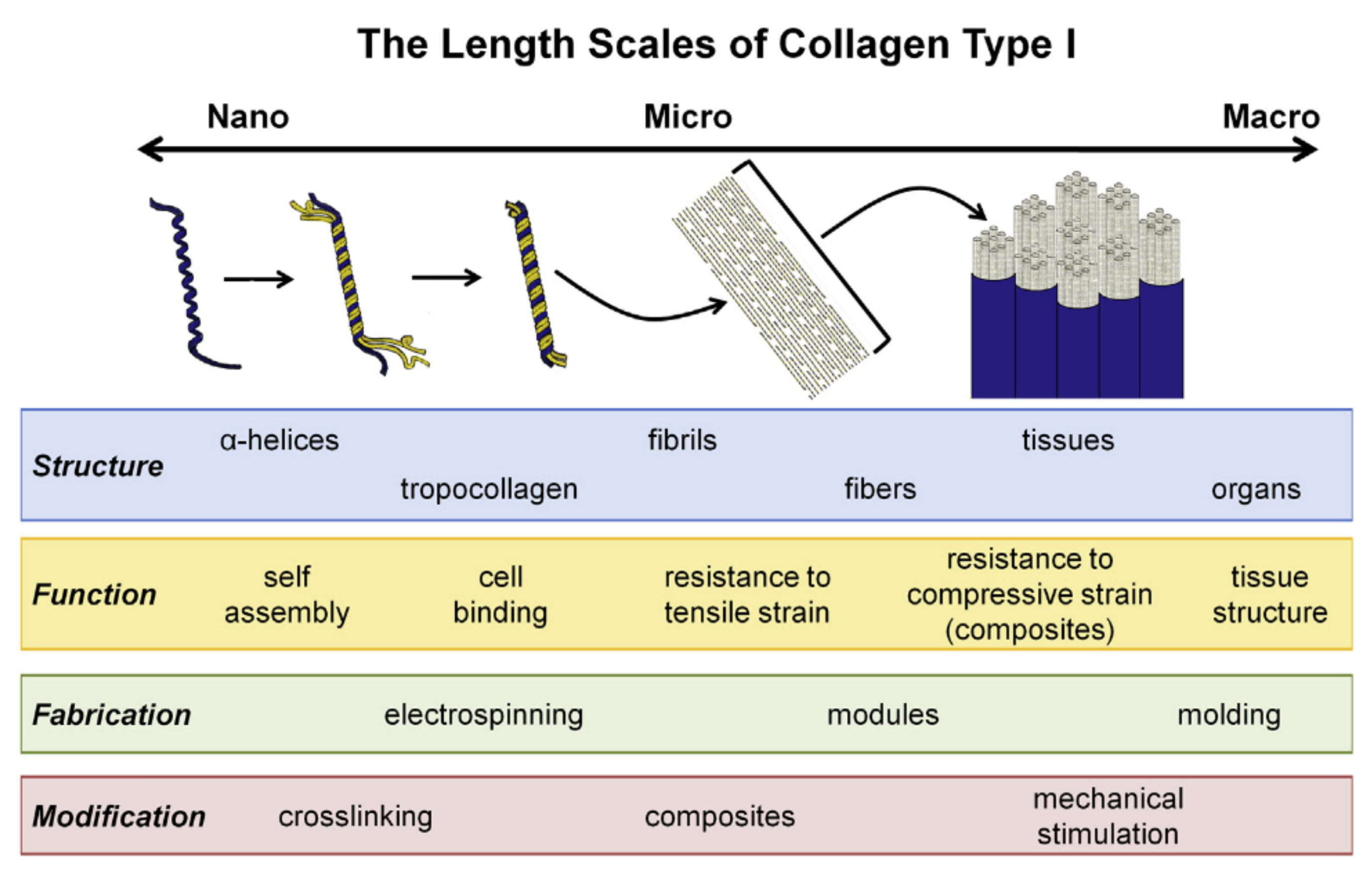Polymers 13 04351 g003