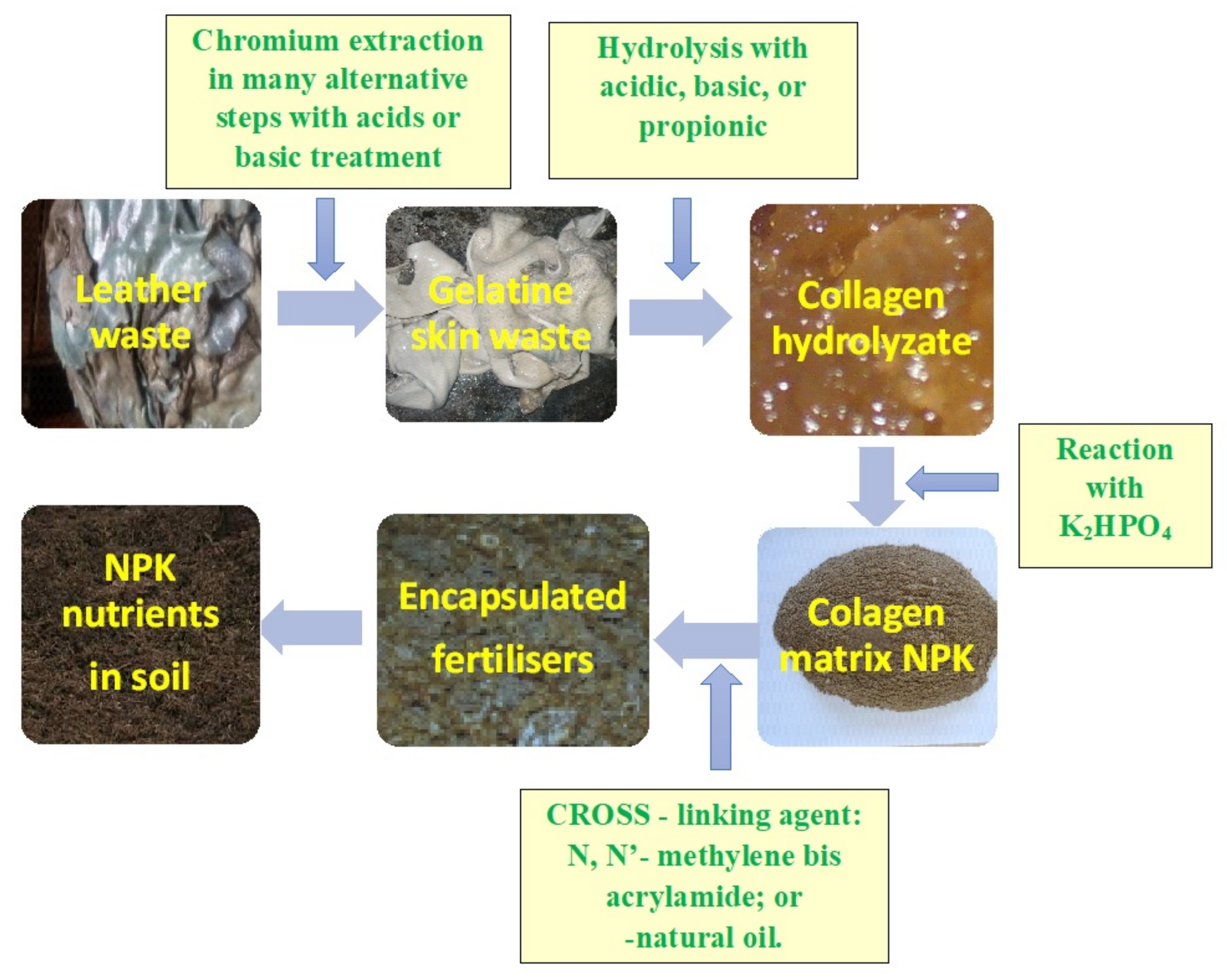 Polymers 13 04351 g006