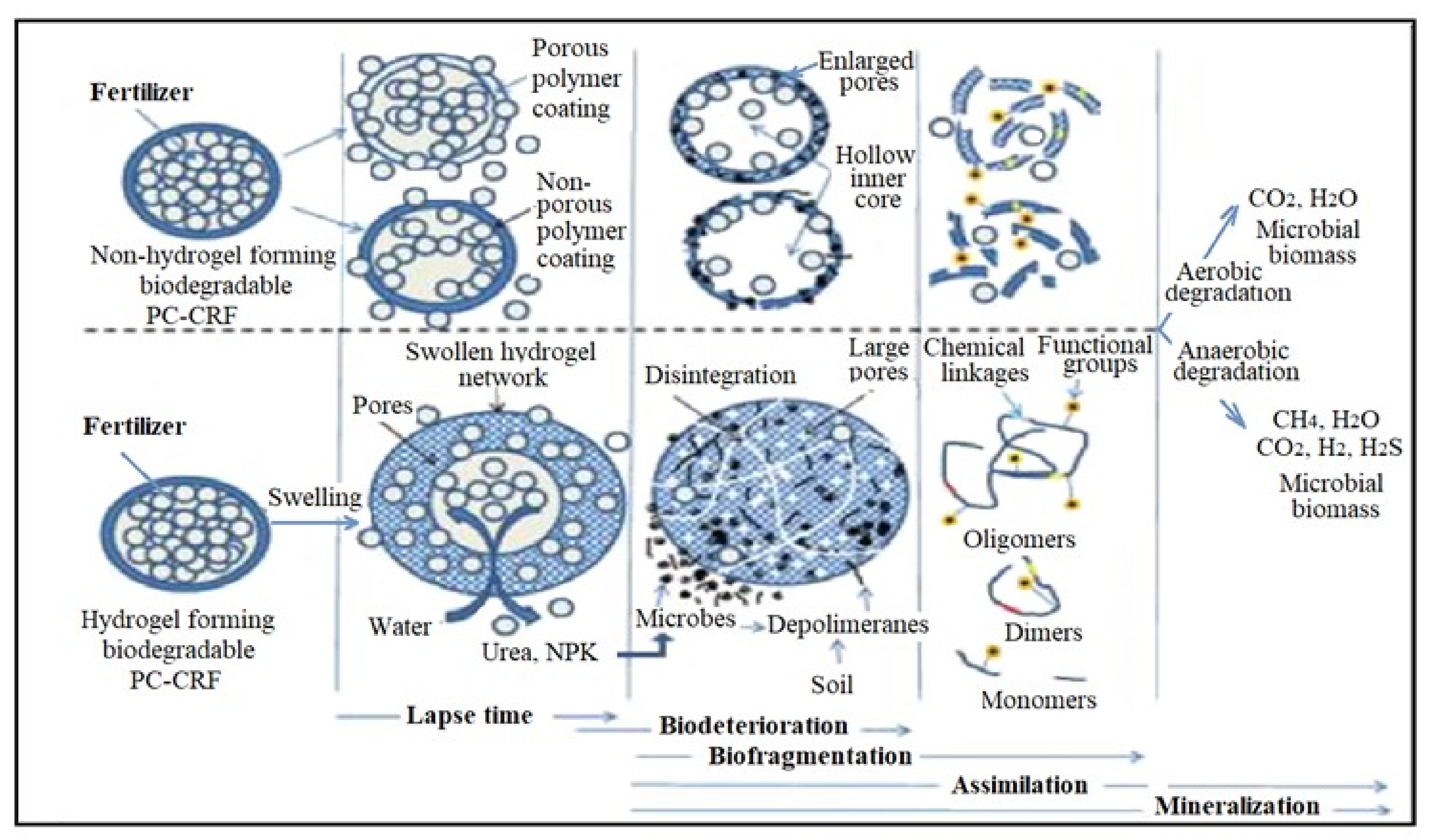 Polymers 13 04351 g007